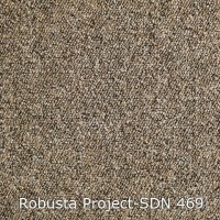 Robusta Project-SDN 469